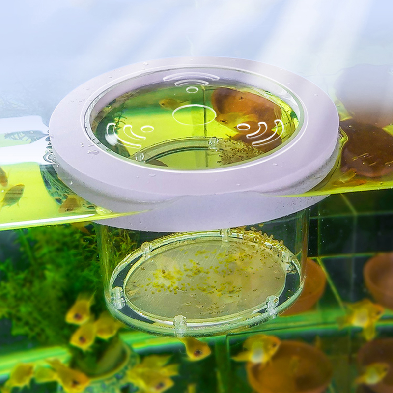 Aquarium Fish Jar - Suspended Fish Tank Breeding Isolation Box