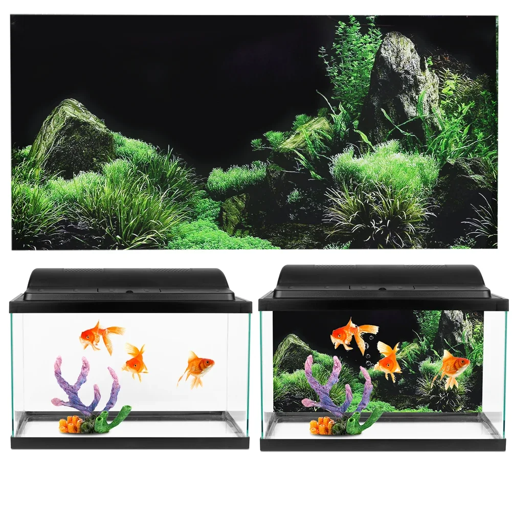 Background for Aquarium 3d Sti - Aquarium Fish Poster review and price
