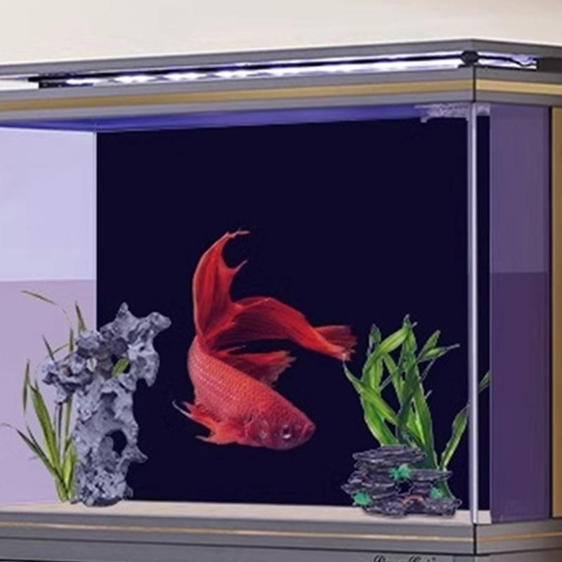 Black Aquarium Background Wall - Aquarium Fish Poster review and price
