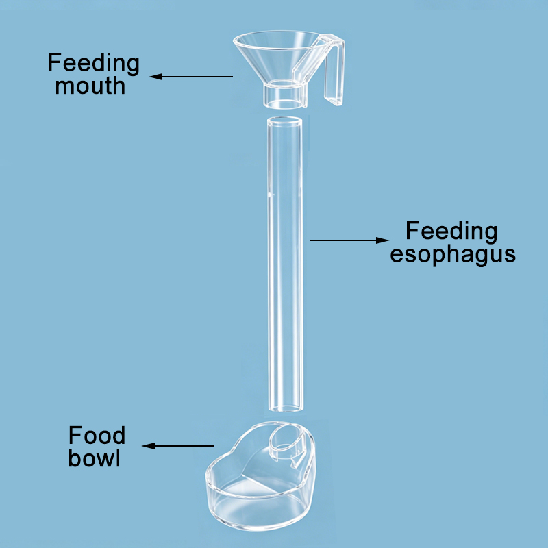 Acrylic Aquarium Fish Feeder T - Aquarium Xxl review and price