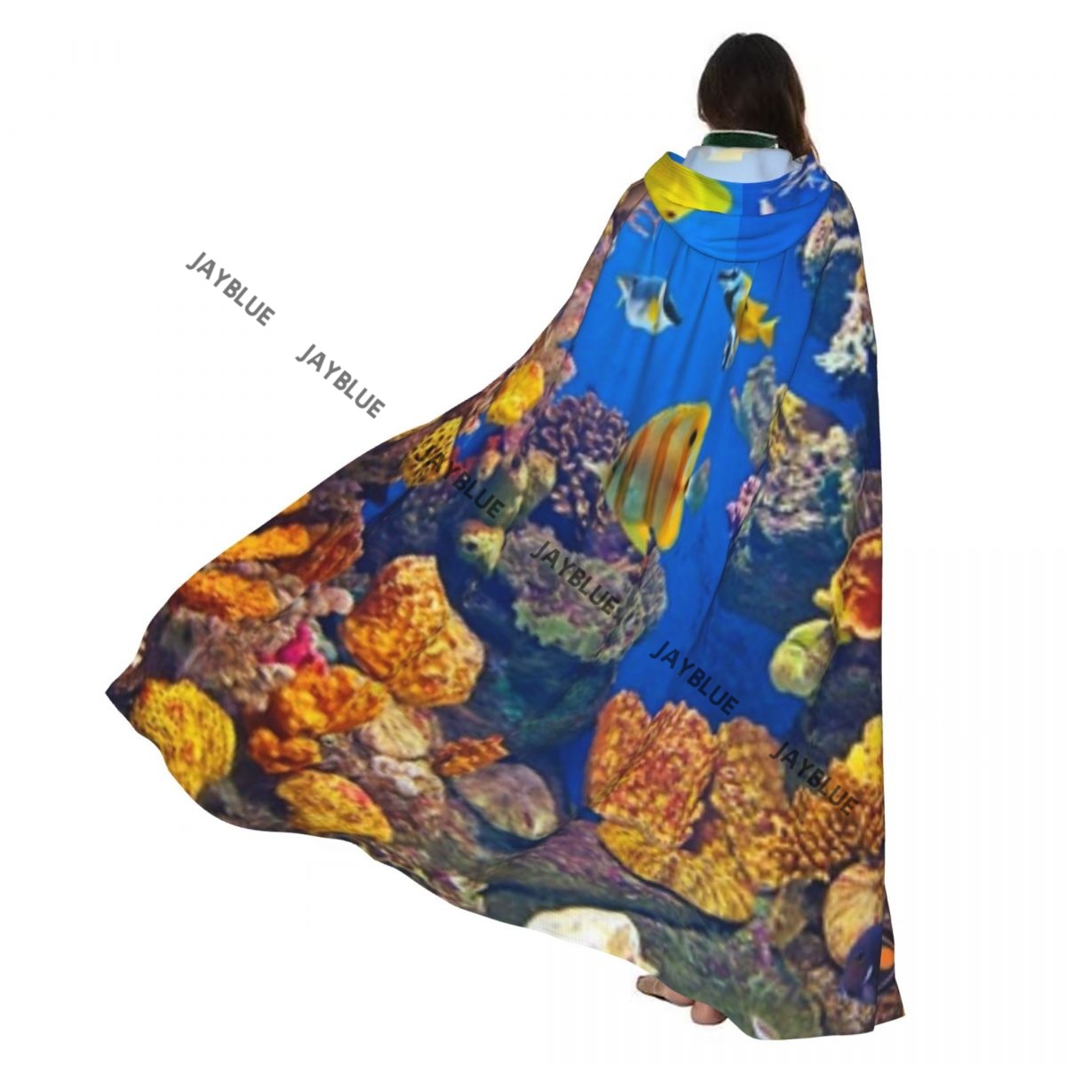 Unisex Adult Colorful Aquarium - Aquarium Queen Fish review and price