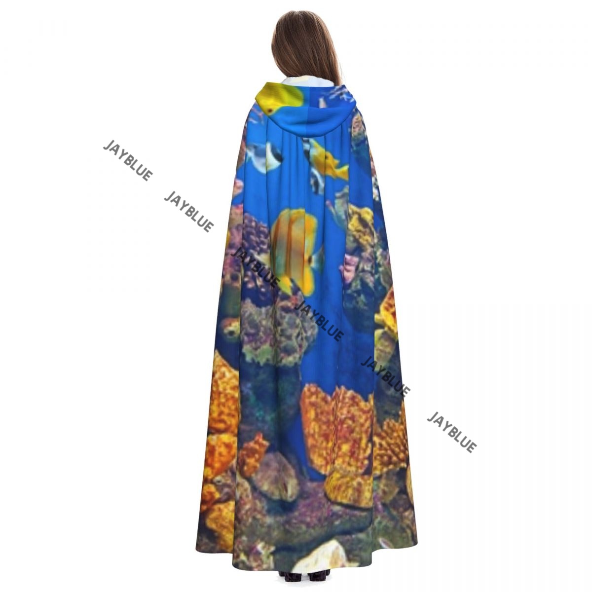 Unisex Adult Colorful Aquarium - Aquarium Queen Fish review and price
