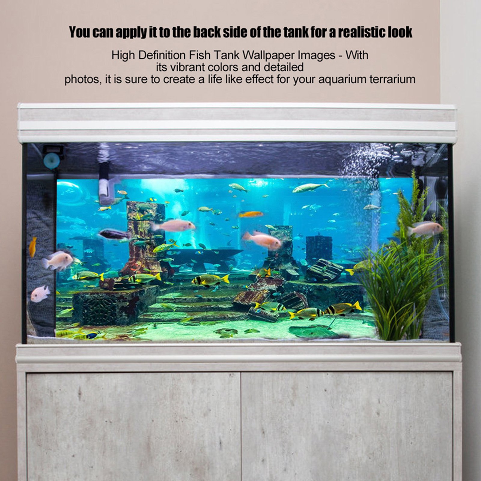 ZK20 Coral Aquarium Background - Aquarium Fish Poster review and price
