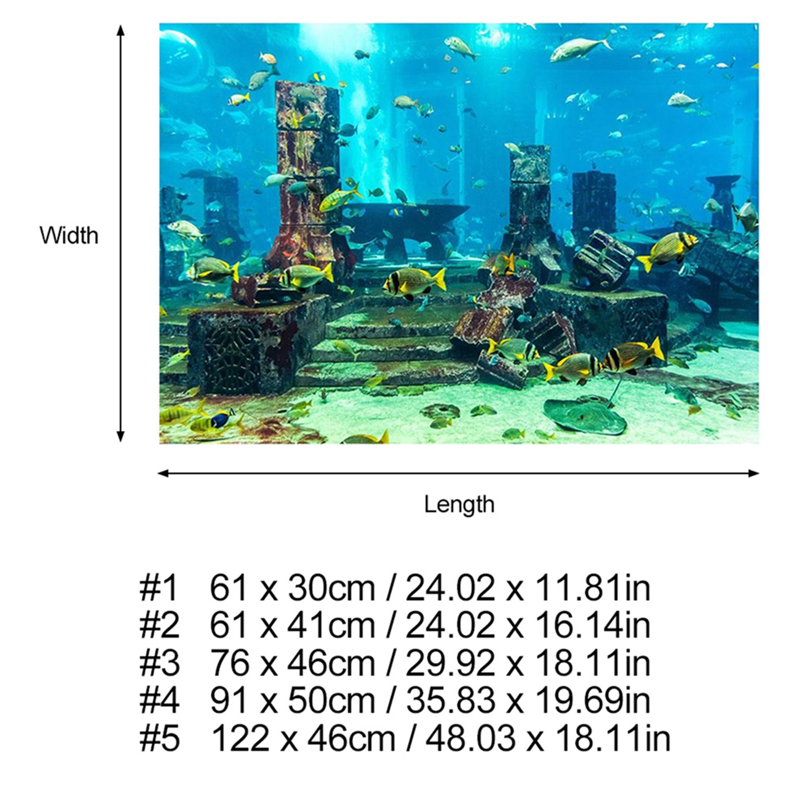 ZK20 Coral Aquarium Background - Aquarium Fish Poster review and price