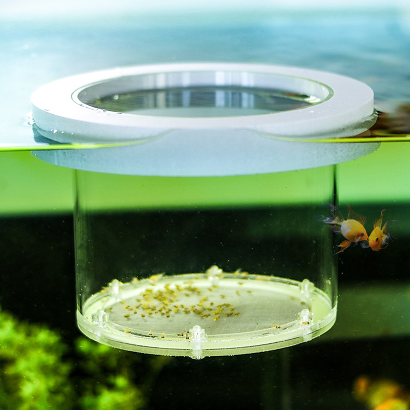 Suspended Fish Tank Breeding I - Aquarium Fish Jar review and price