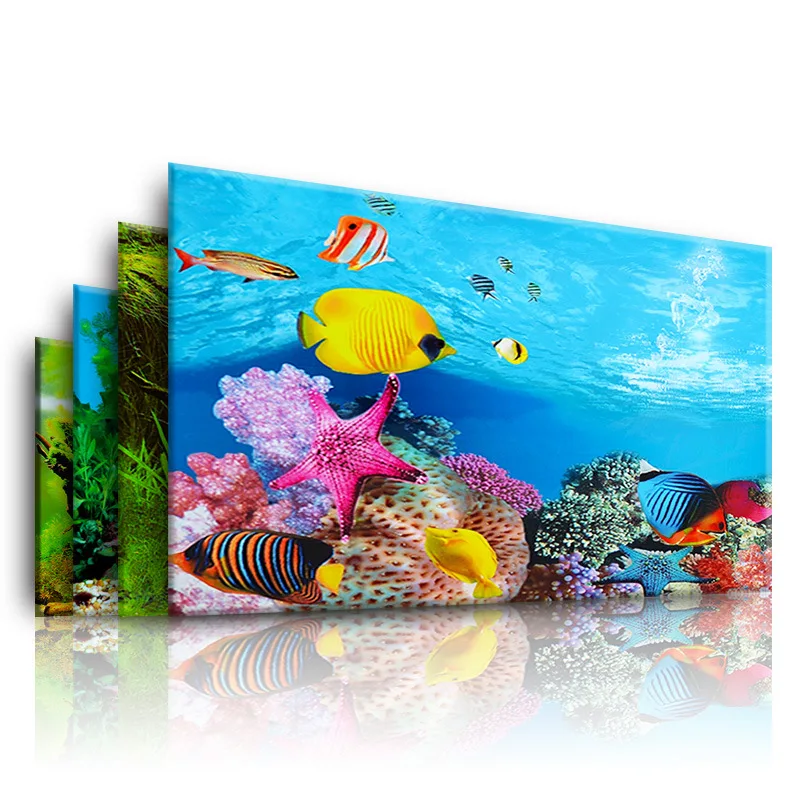Background for Aquarium 3d  St - Aquarium Fish Poster review and price