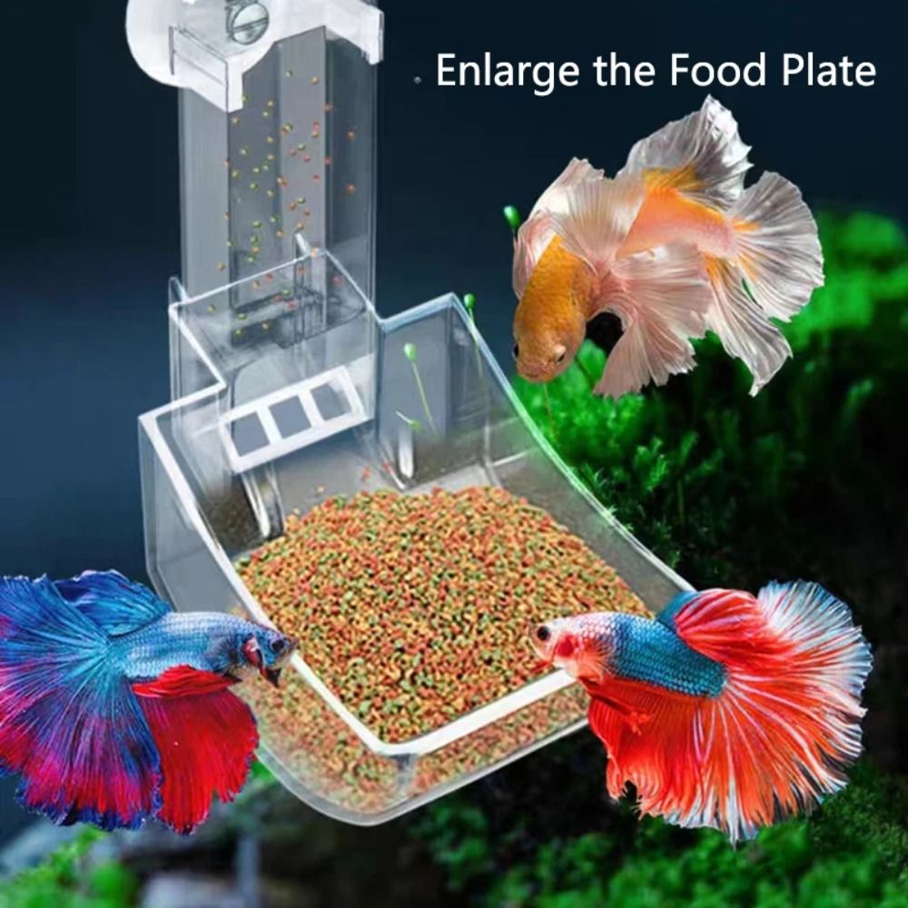 New Transparent Aquarium Fish  - Aquarium Fish Jar review and price