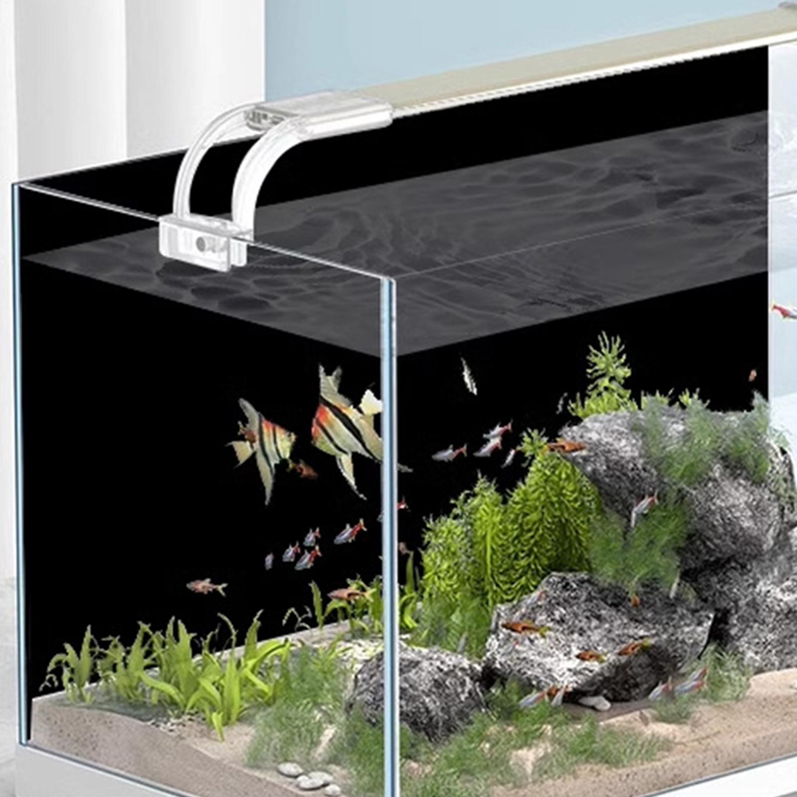 Black Aquarium Background Stat - Aquarium Fish Background review and price