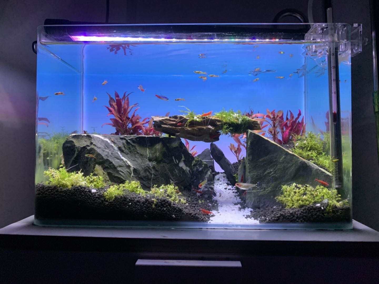 RGB Color Changing Aquarium Li - Aquarium Fish Background review and price