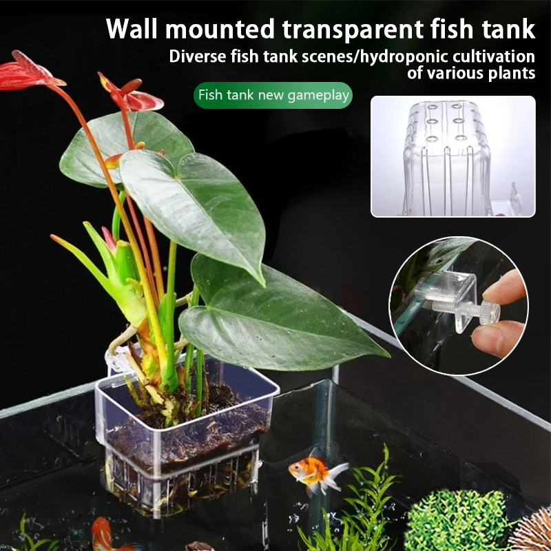 Aquarium Hanging Planter Cups  - Aquarium Fish Background review and price