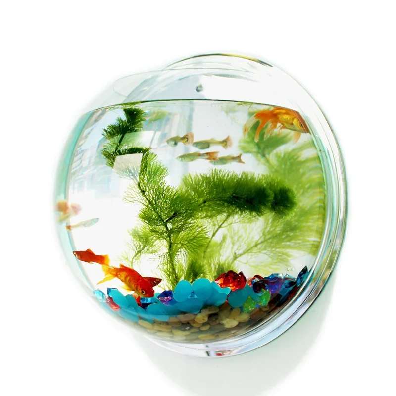 Pinsjar Acrylic Fish Bowl Wall - Aquarium Fish Background review and price