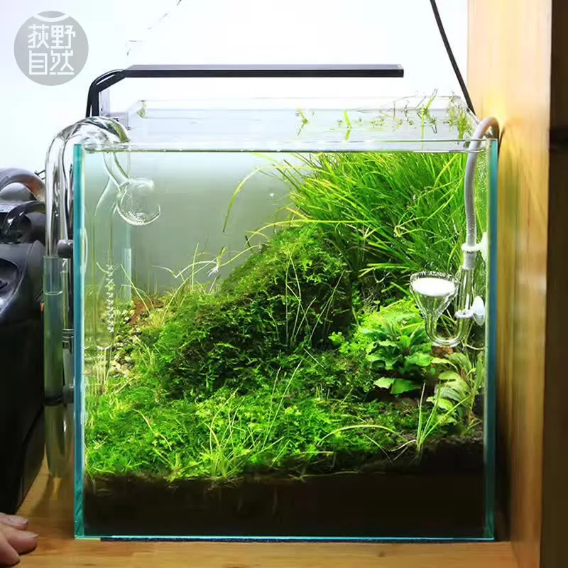 Chihiros C Series ADA Style Pl - Aquarium Fish Background review and price