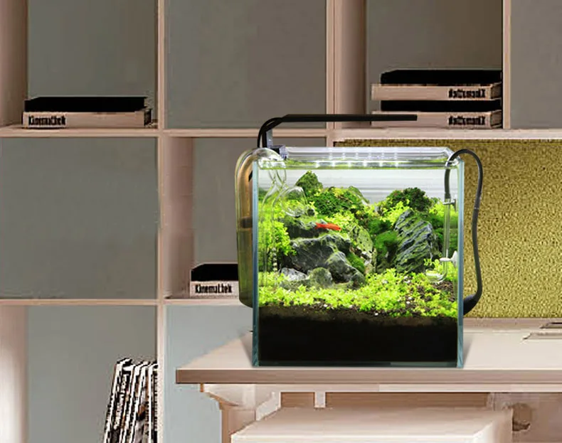 Chihiros C Series ADA Style Pl - Aquarium Fish Background review and price