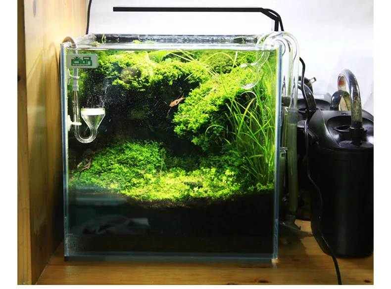 Chihiros C Series ADA Style Pl - Aquarium Fish Background review and price