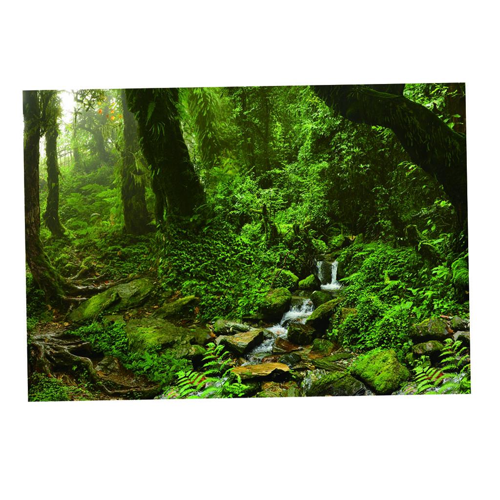 Aquarium Backdrop Poster Vivid - Aquarium Fish Poster review and price