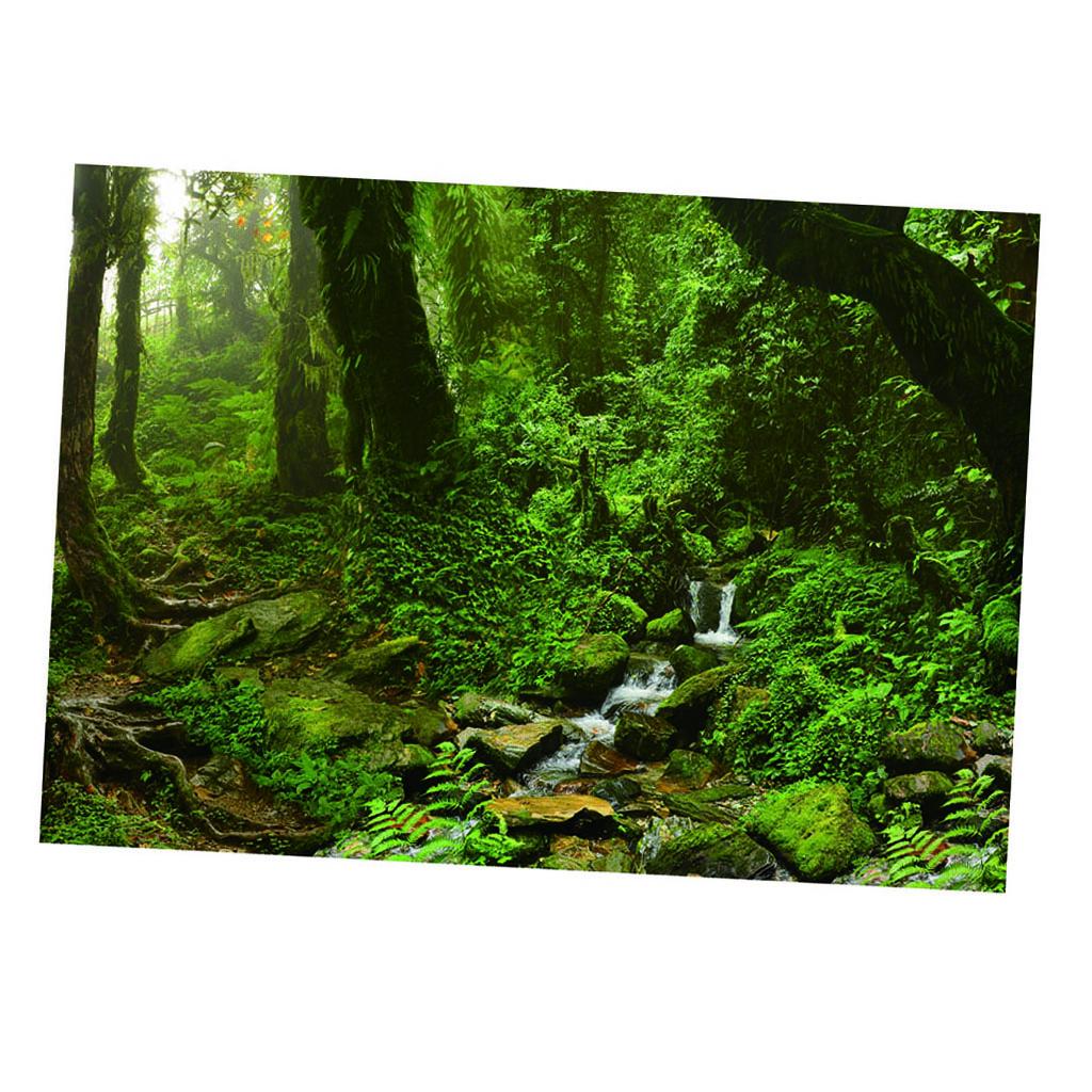 Aquarium Backdrop Poster Vivid - Aquarium Fish Poster review and price
