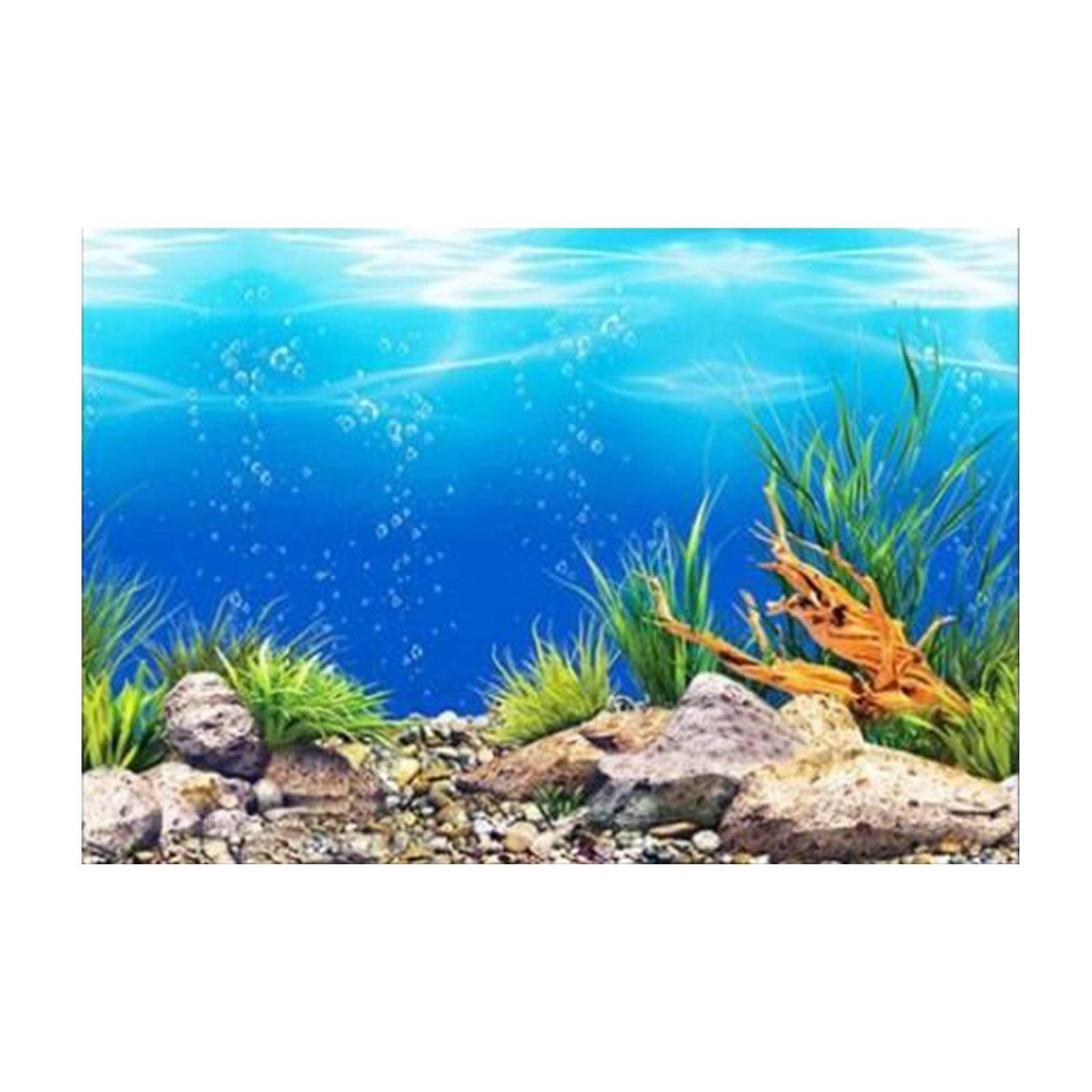 3D Effect Aquarium Background  - Aquarium Fish Poster review and price