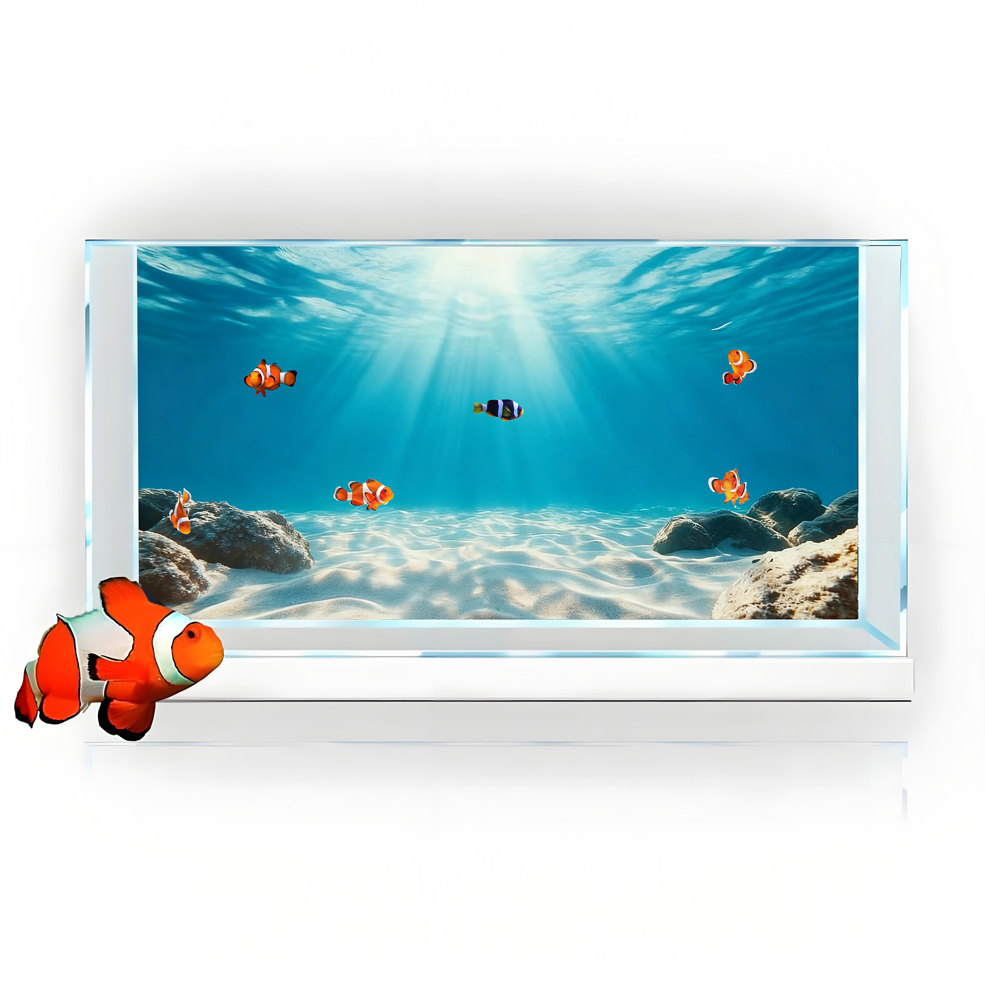 Blue Sea Clear Sand, Fish Tank - Aquarium Fish Background review and price