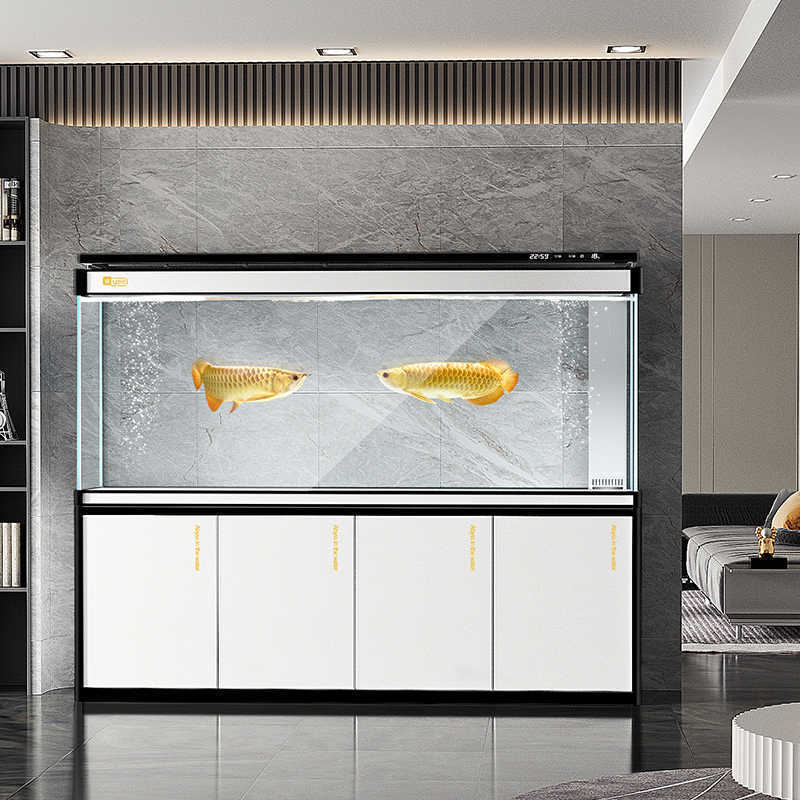 Fish tank living room large ar - Aquarium Xxl review and price