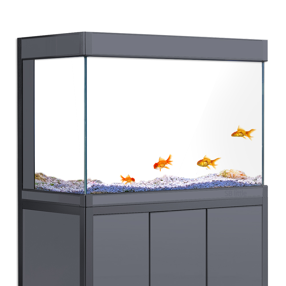 Aquarium Background Static Cli - Aquarium Fish Poster review and price