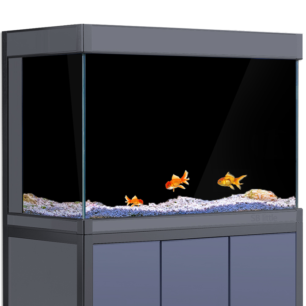 Aquarium Background Static Cli - Aquarium Fish Poster review and price