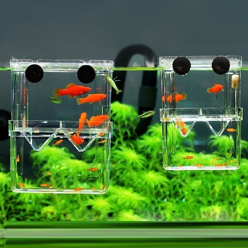Multifunctional Fish Aquarium  - Aquarium Fish Cave review and price