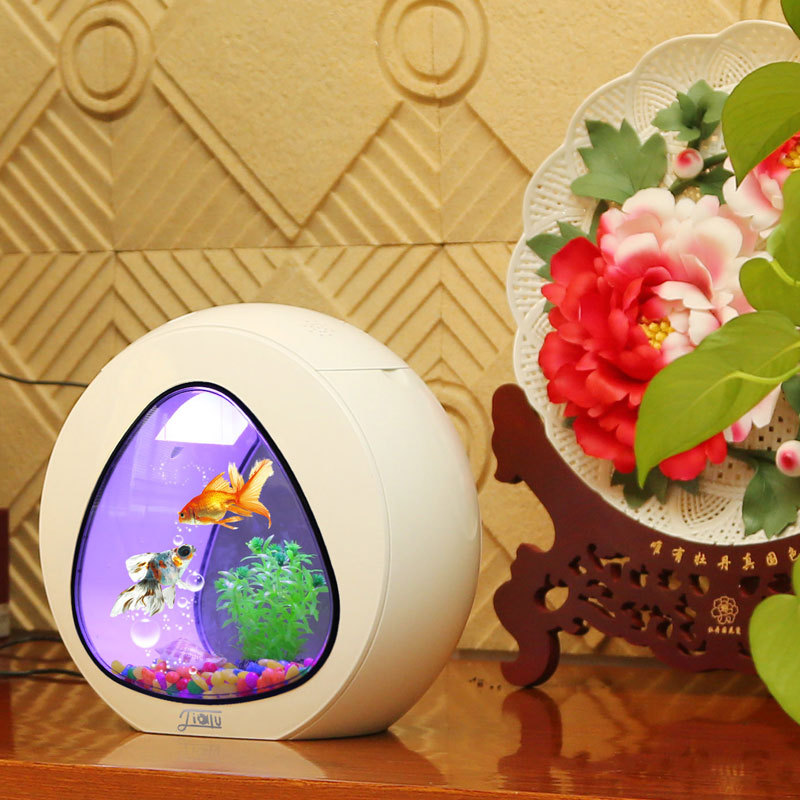 Jialu creative desktop fish ta - Aquarium Fish Delivery review and price