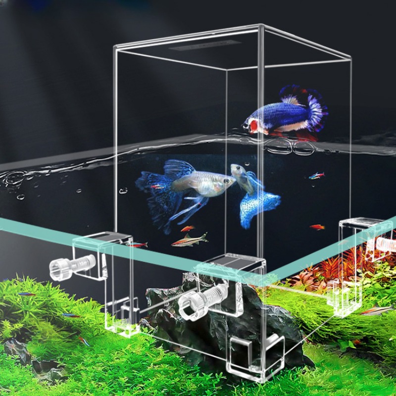 Creative Aquarium Tanks Negati - Aquarium Fish Jar review and price