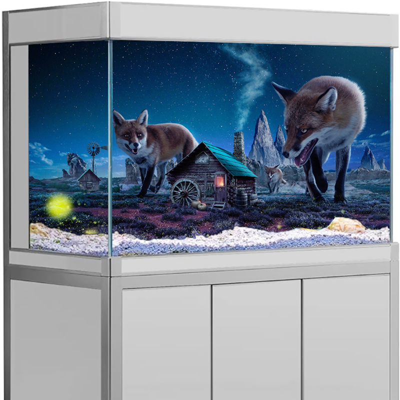 Aquarium Background Sticker My - Aquarium Fish Poster review and price