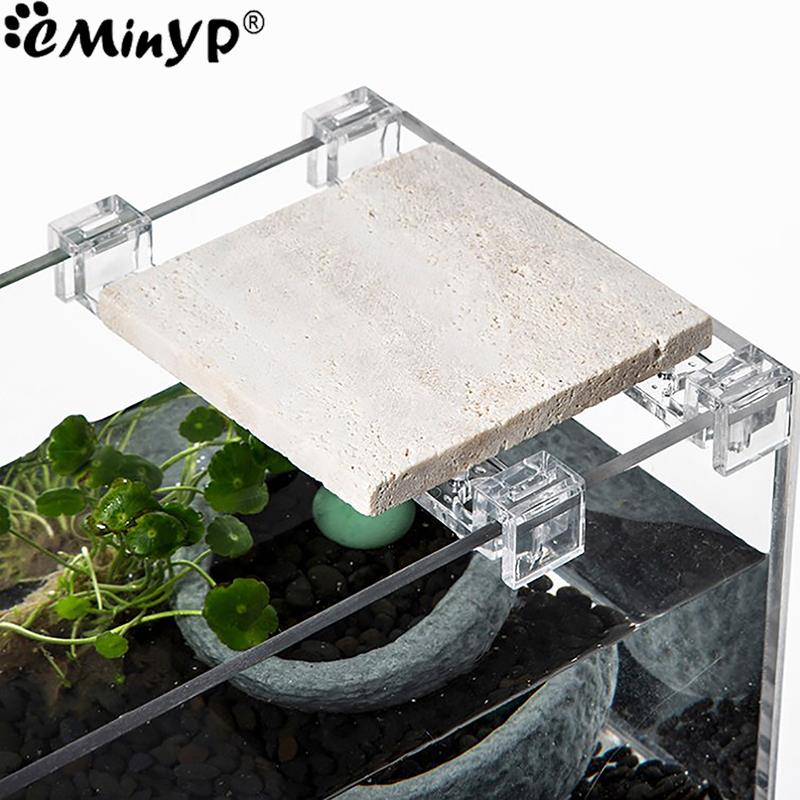 4Pcs Fish Tank Acrylic Clips f - Aquarium Fish Background review and price