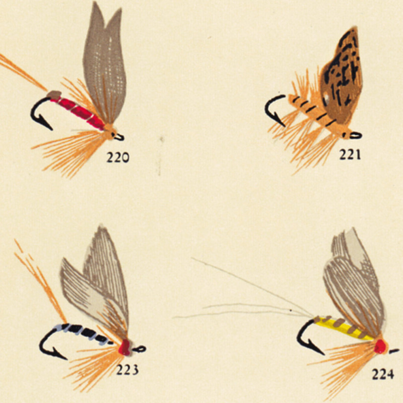 Vintage Fly Fishing Lure Poste - Aquarium Fish Poster review and price
