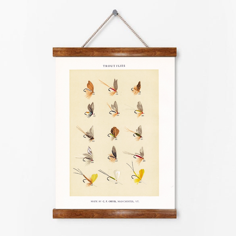 Vintage Fly Fishing Lure Poste - Aquarium Fish Poster review and price
