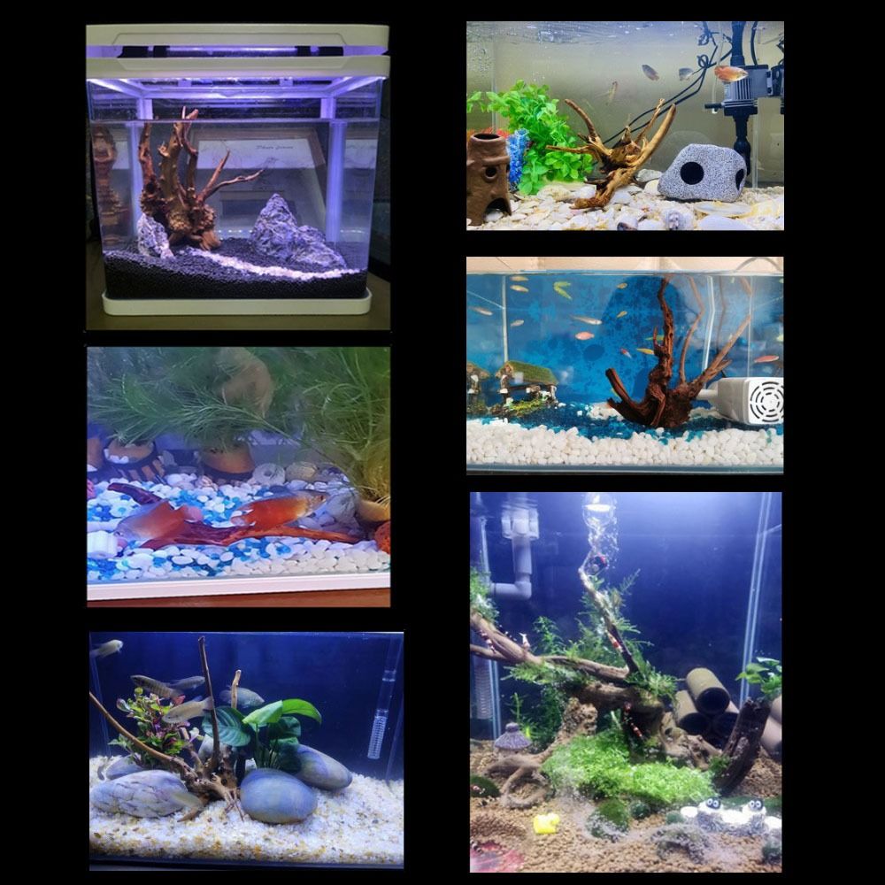 20-25CM Large Aquarium Driftwo - Aquarium Fish Jar review and price