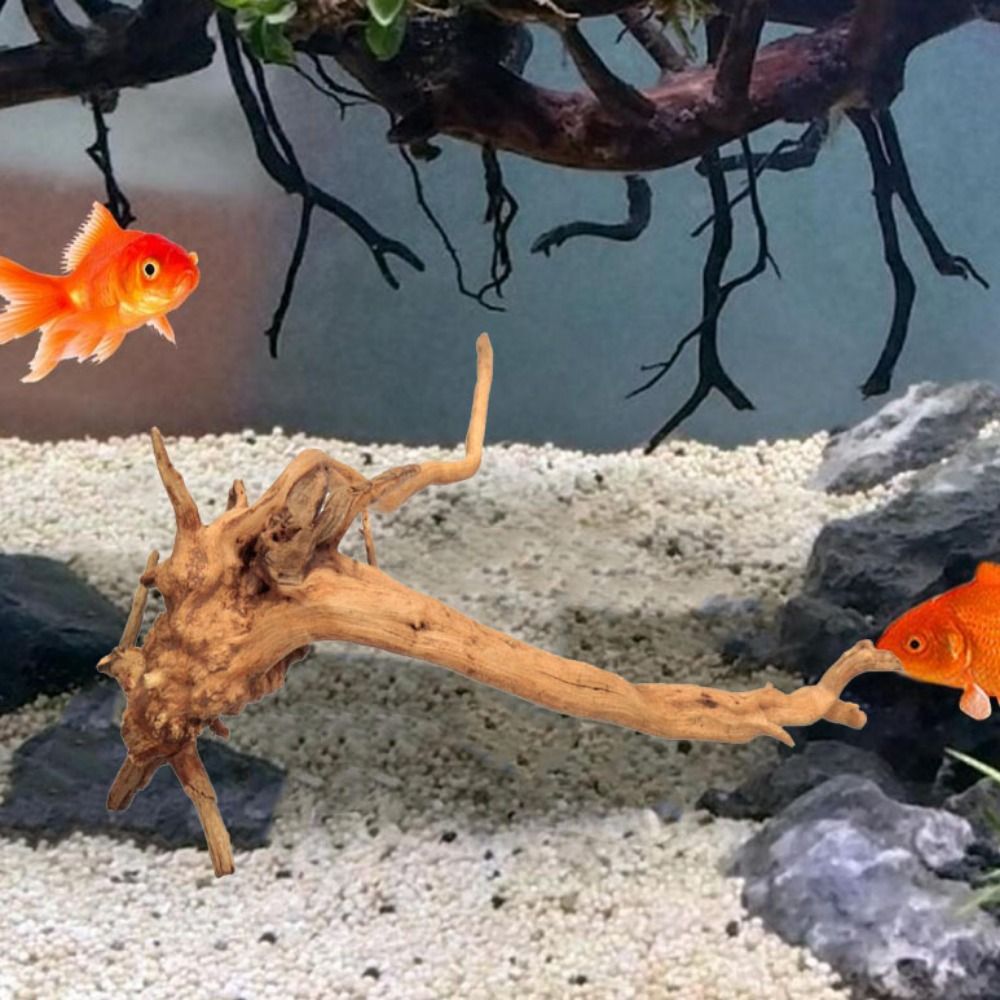 20-25CM Large Aquarium Driftwo - Aquarium Fish Jar review and price