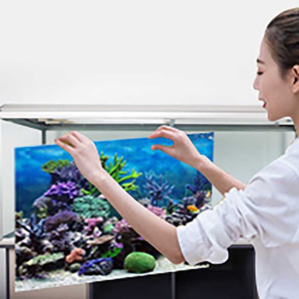 PVC Aquarium Background Poster - Aquarium Fish Poster review and price