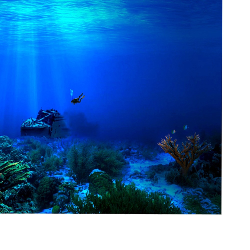 PVC Aquarium Background Poster - Aquarium Fish Poster review and price
