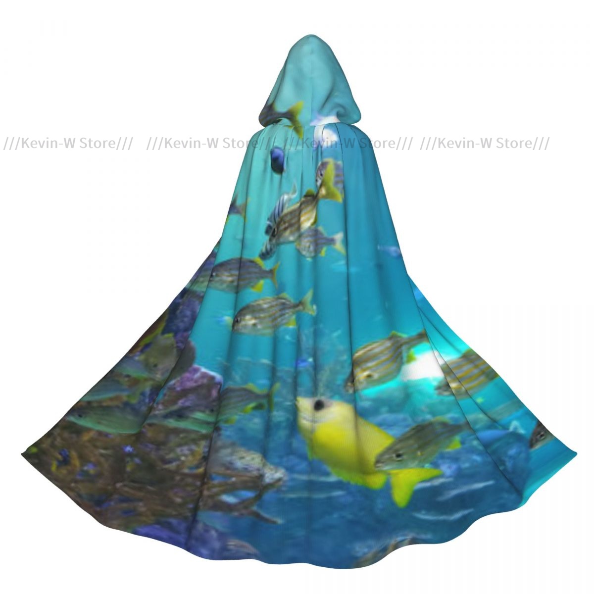 Fish Inside Aquarium Hooded Cl - Aquarium Queen Fish review and price