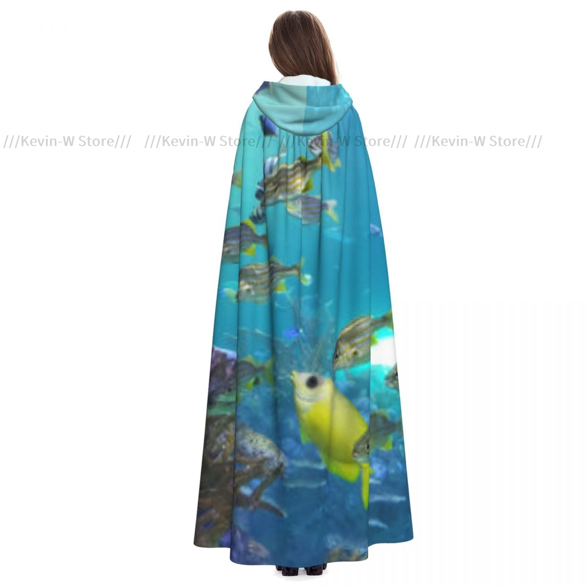 Fish Inside Aquarium Hooded Cl - Aquarium Queen Fish review and price