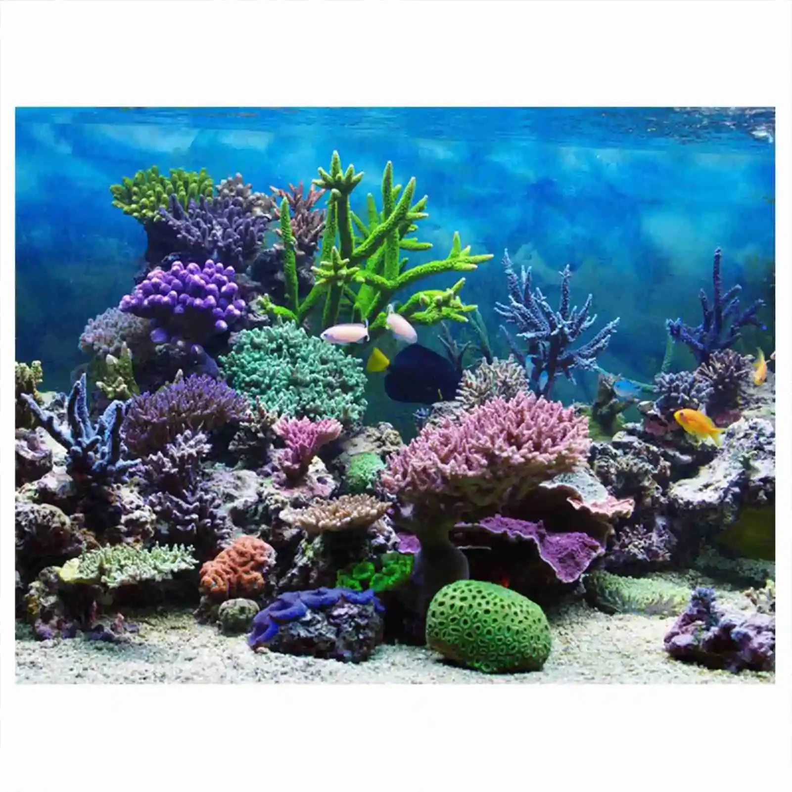3D Aquarium Landscape Poster R - Aquarium Fish Poster review and price