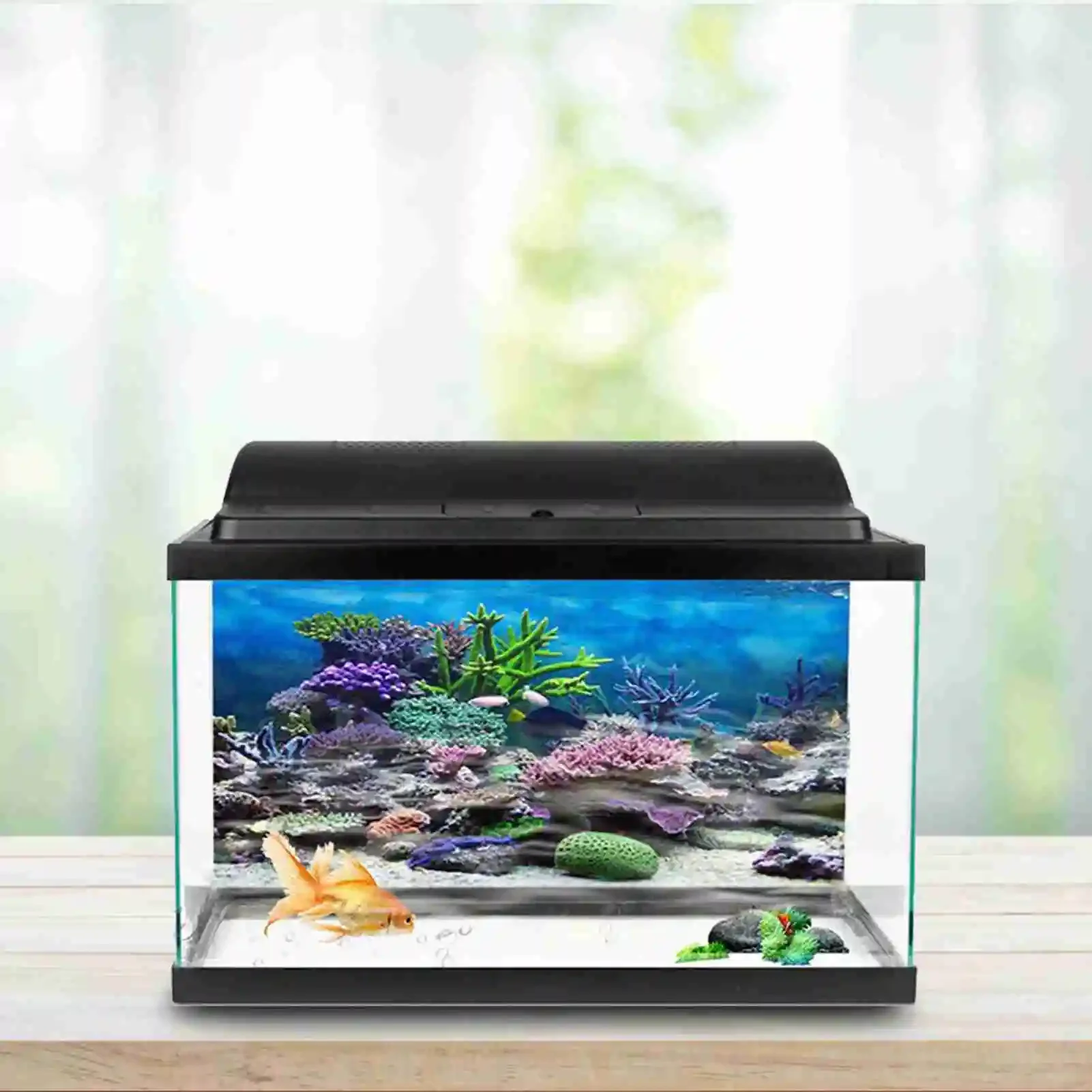 3D Aquarium Landscape Poster R - Aquarium Fish Poster review and price