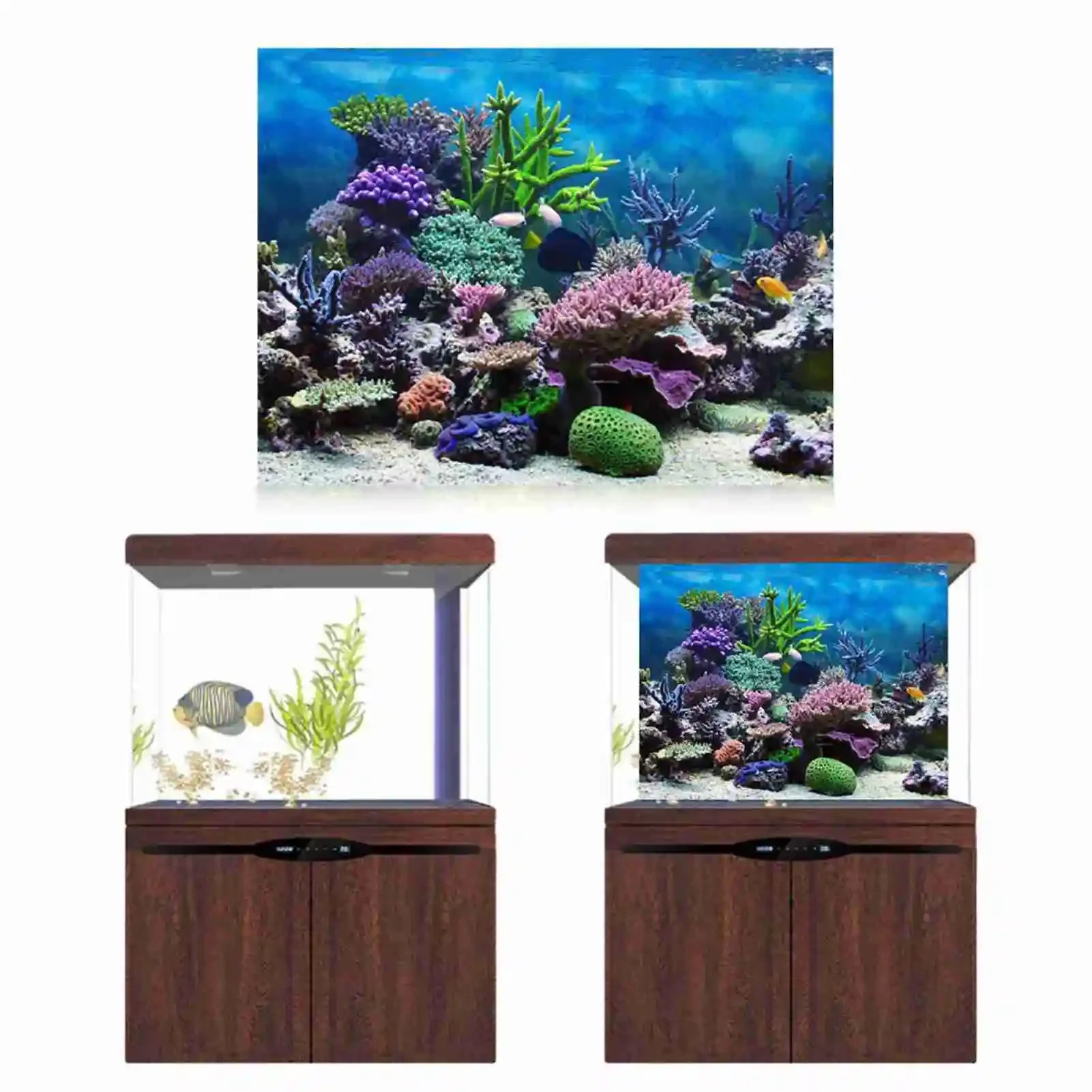 3D Aquarium Landscape Poster R - Aquarium Fish Poster review and price