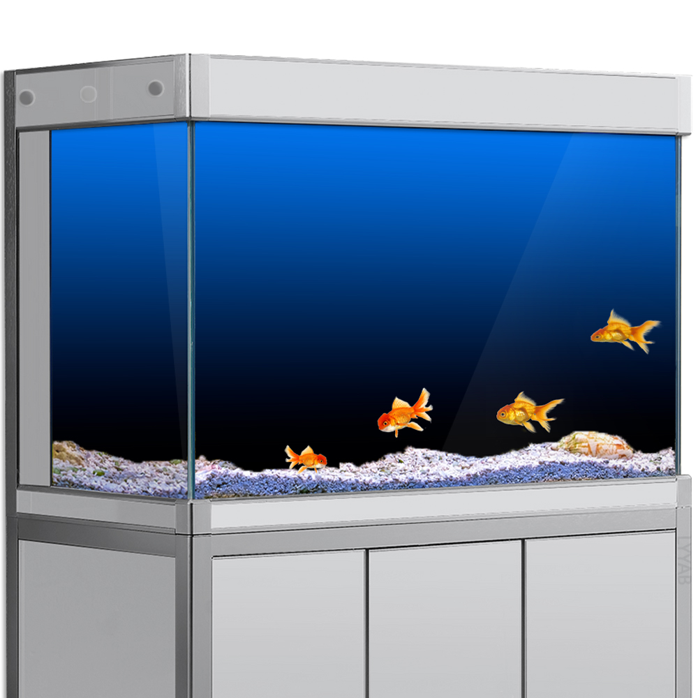 Fish Tank Background Sticker B - Aquarium Fish Background review and price