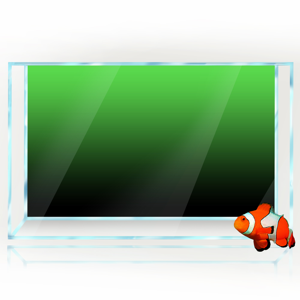 Fish Tank Background Sticker B - Aquarium Fish Background review and price