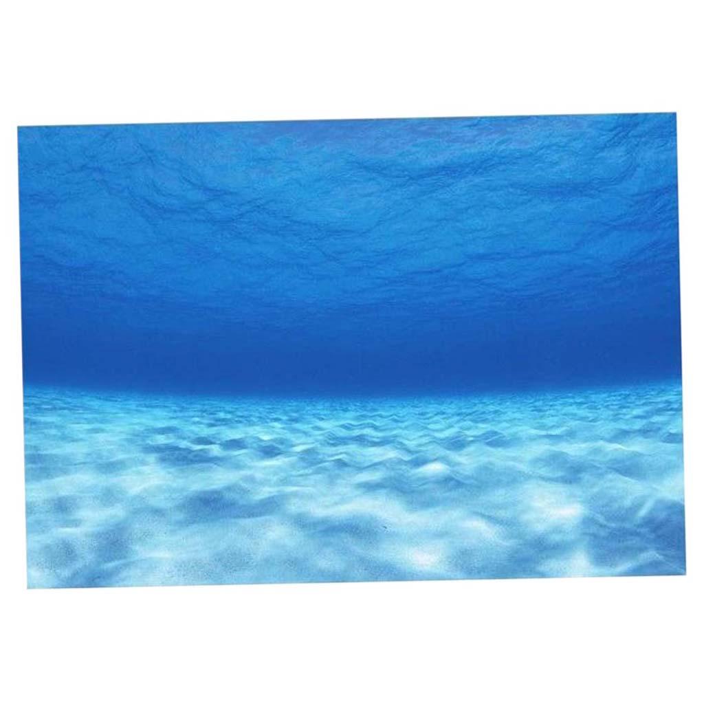 Side Decorative Aquarium Backg - Aquarium Fish Poster review and price