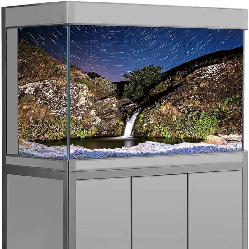 3D Tropical Beach Ocean Island - Aquarium Fish Poster review and price