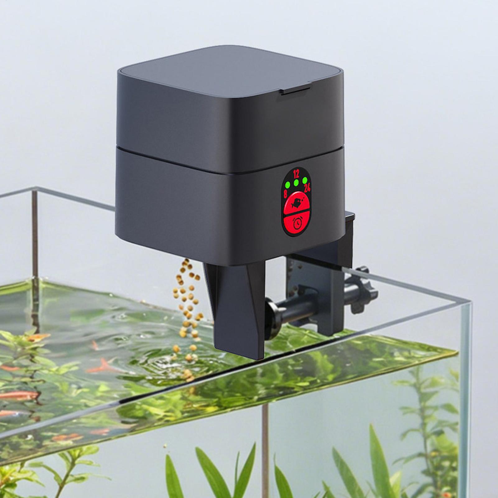 Auto Fish Feeder For Aquarium  - Aquarium Fish Jar review and price