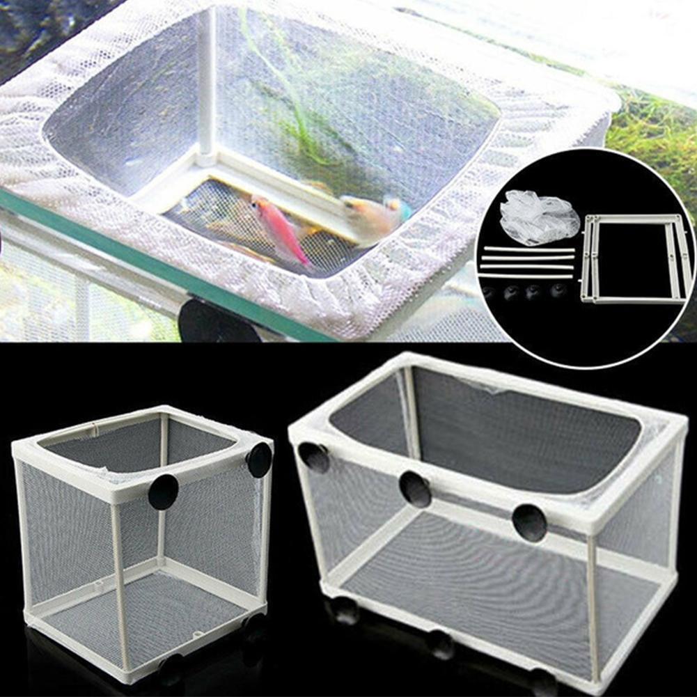 Hatchery Isolation Box for Aqu - Aquarium Fish Jar review and price