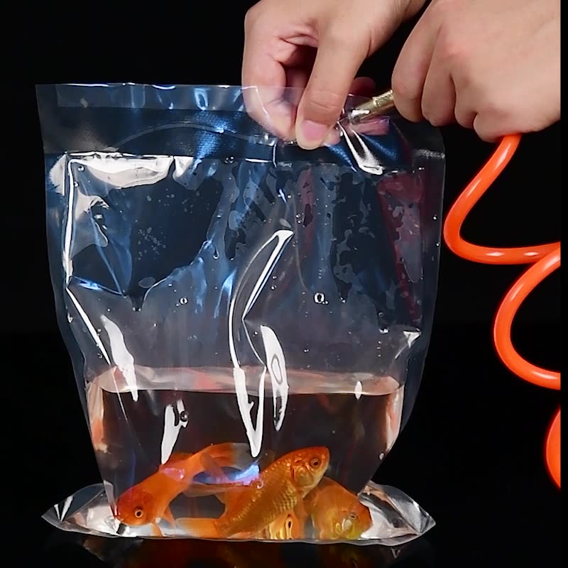 TETP 100Pcs transparent Orname - Aquarium Fish Delivery review and price